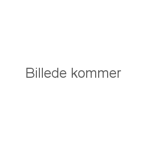 Bakkamera