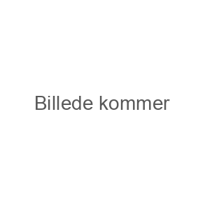 Bakkamera